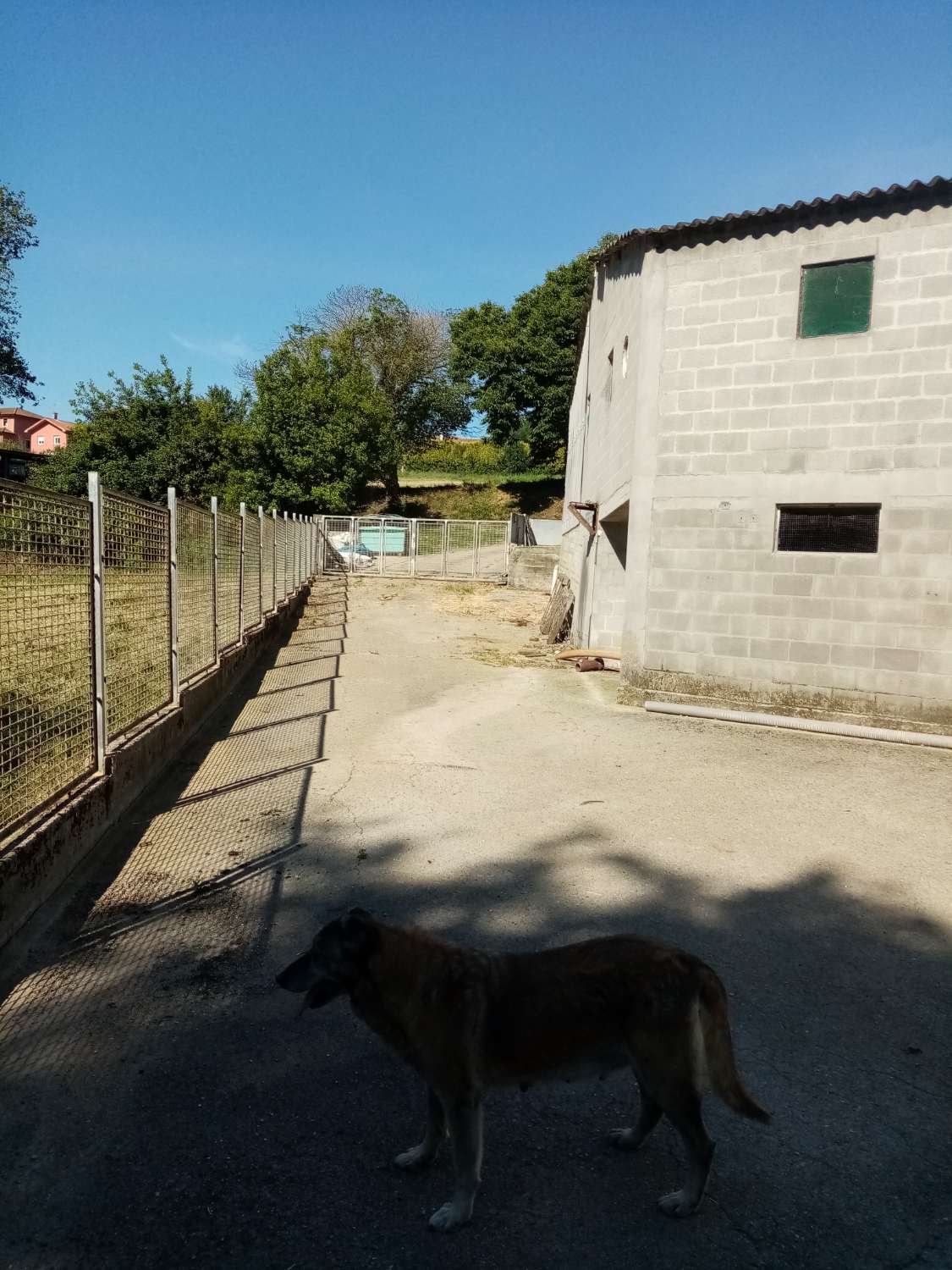 CASA DE PUEBLO RESTAURADA CON 1600 metros DE NAVES