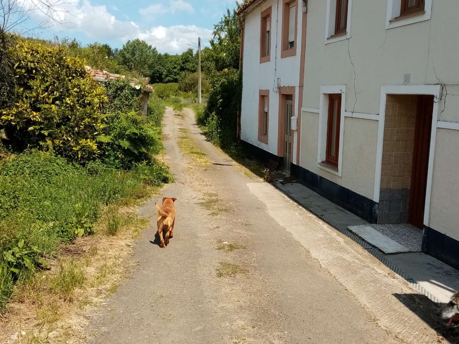 Maison en vente à Sada