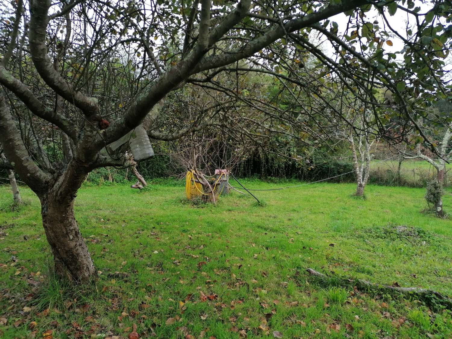 CASA AISLADA DE CAMPO CON SUS ARRIMOS, IDEALES PARA TRANSFORMAR EN BODEGA Y APARCAMIENTO