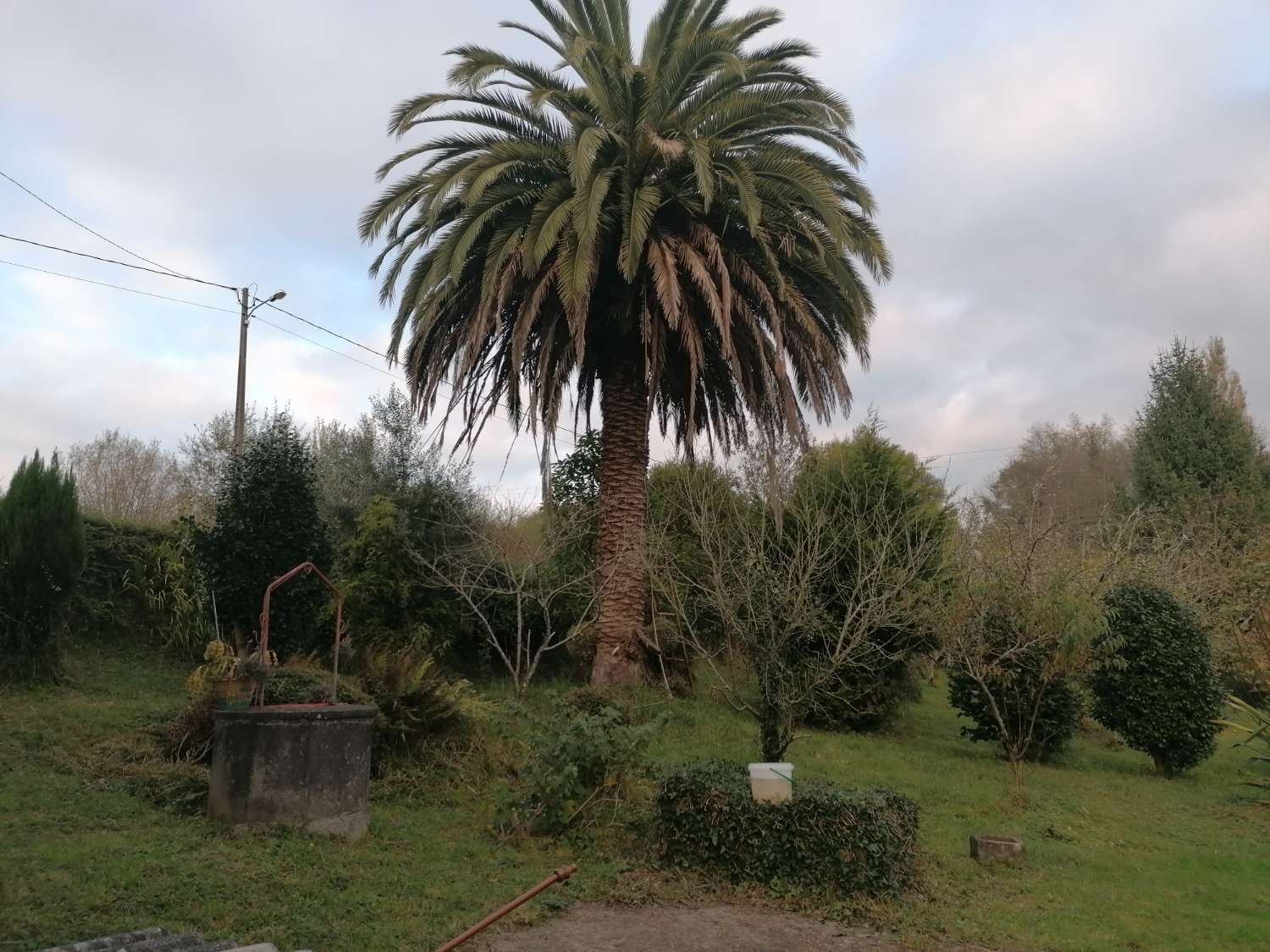 CASA AISLADA DE CAMPO CON SUS ARRIMOS, IDEALES PARA TRANSFORMAR EN BODEGA Y APARCAMIENTO