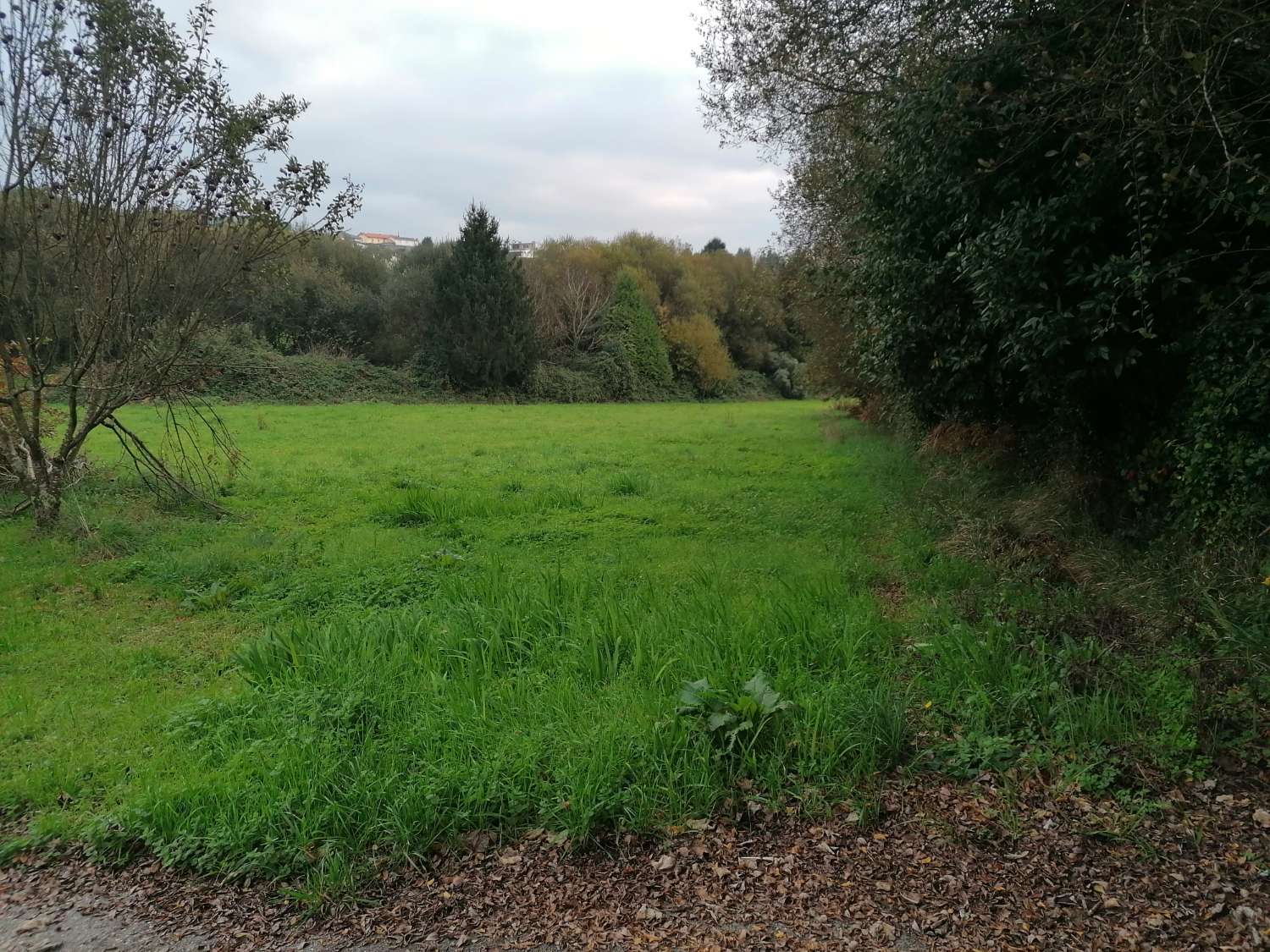 CASA AISLADA DE CAMPO CON SUS ARRIMOS, IDEALES PARA TRANSFORMAR EN BODEGA Y APARCAMIENTO