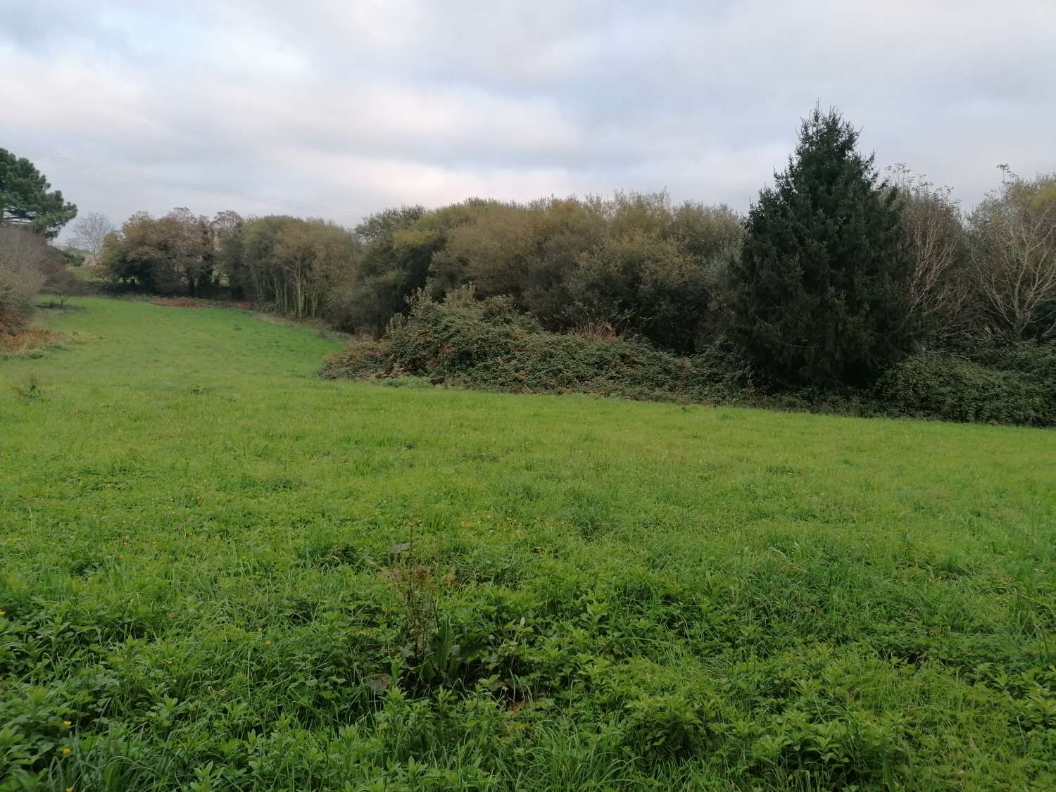 Maison en vente à Pontedeume