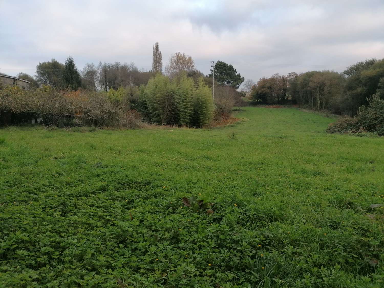 CASA AISLADA DE CAMPO CON SUS ARRIMOS, IDEALES PARA TRANSFORMAR EN BODEGA Y APARCAMIENTO