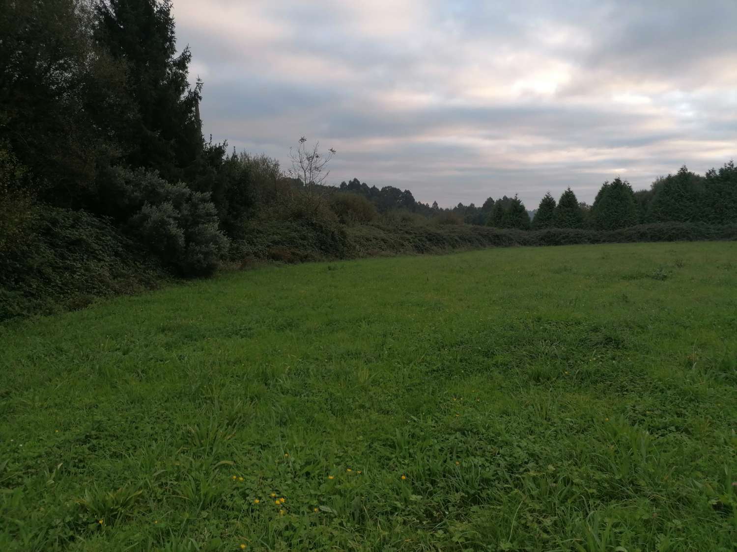 CASA AISLADA DE CAMPO CON SUS ARRIMOS, IDEALES PARA TRANSFORMAR EN BODEGA Y APARCAMIENTO