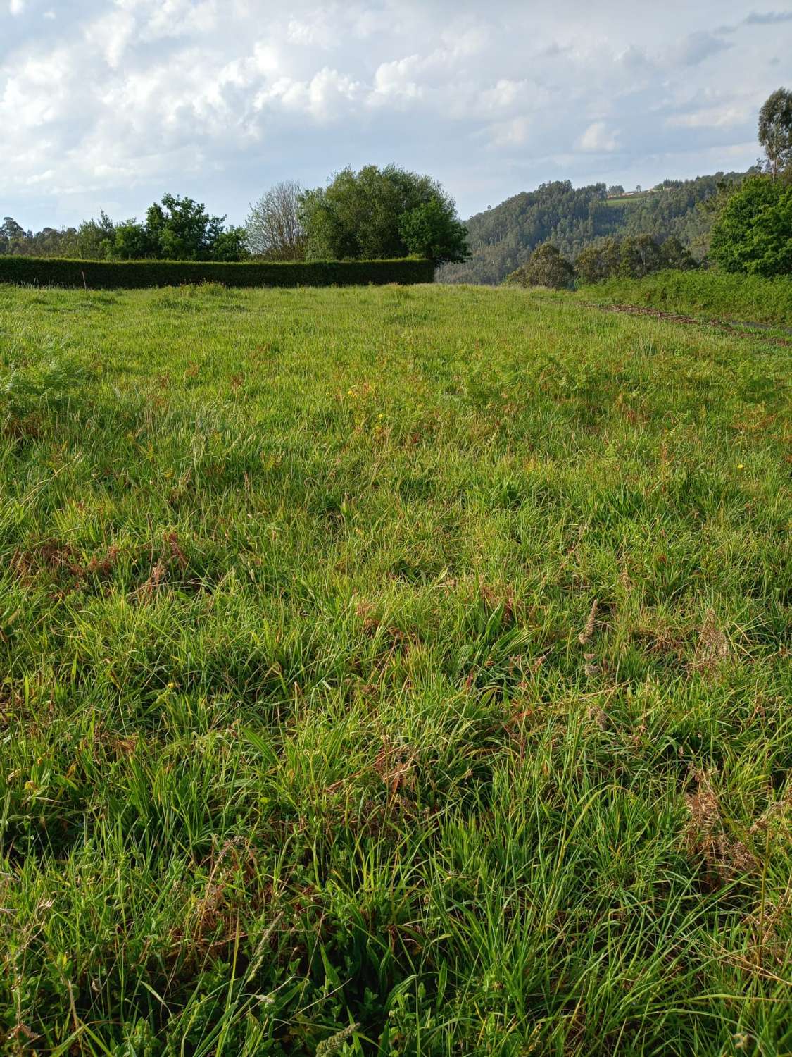 Finca rústica en un lugar privilegiado ideal para los amantes de la naturaleza y que quieran tener una pequeña plantación