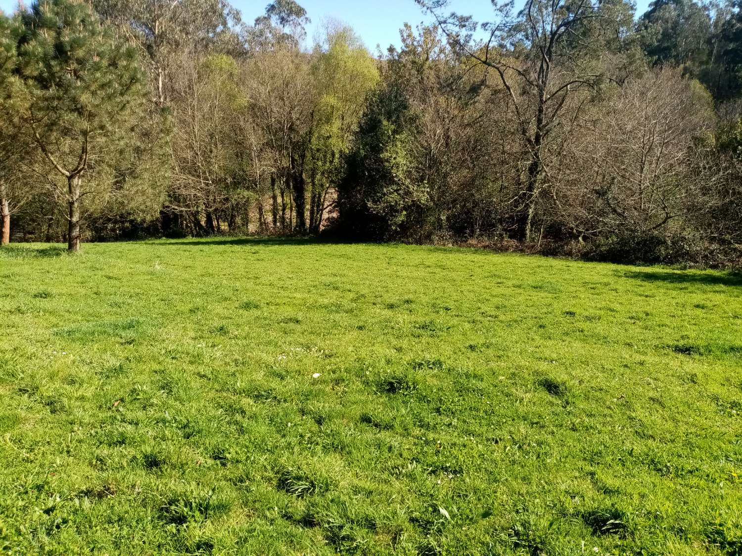 CASA PARA REFORMAR CON FINCA GRANDE EN UN ENTORNO DE NATURALEZA PRIVILEGIADO