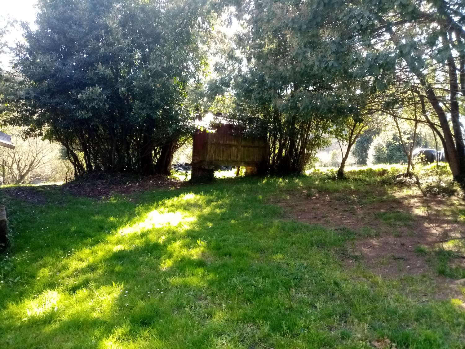 CASA PARA REFORMAR CON FINCA GRANDE EN UN ENTORNO DE NATURALEZA PRIVILEGIADO