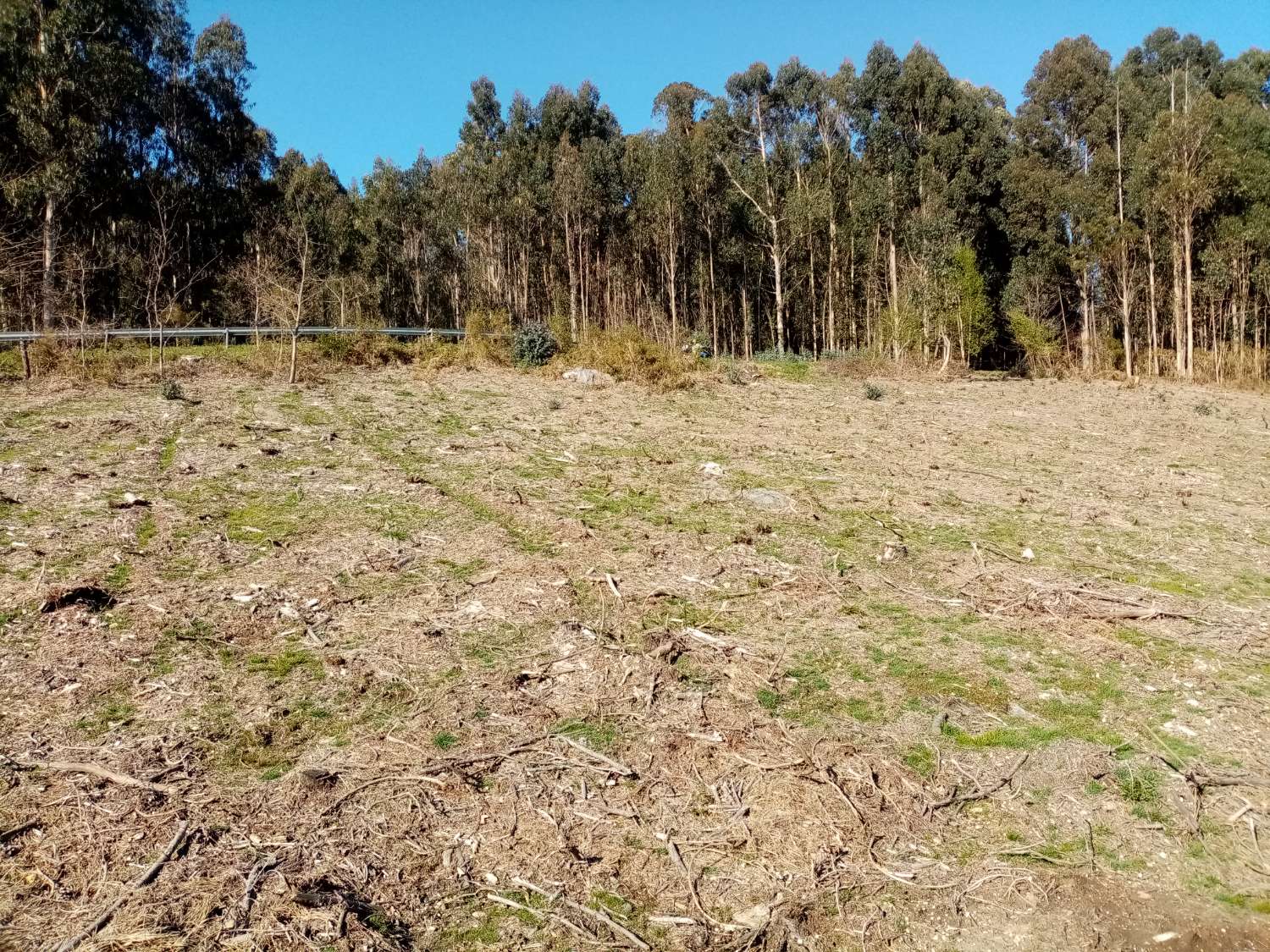 CASA PARA REFORMAR CON FINCA GRANDE EN UN ENTORNO DE NATURALEZA PRIVILEGIADO