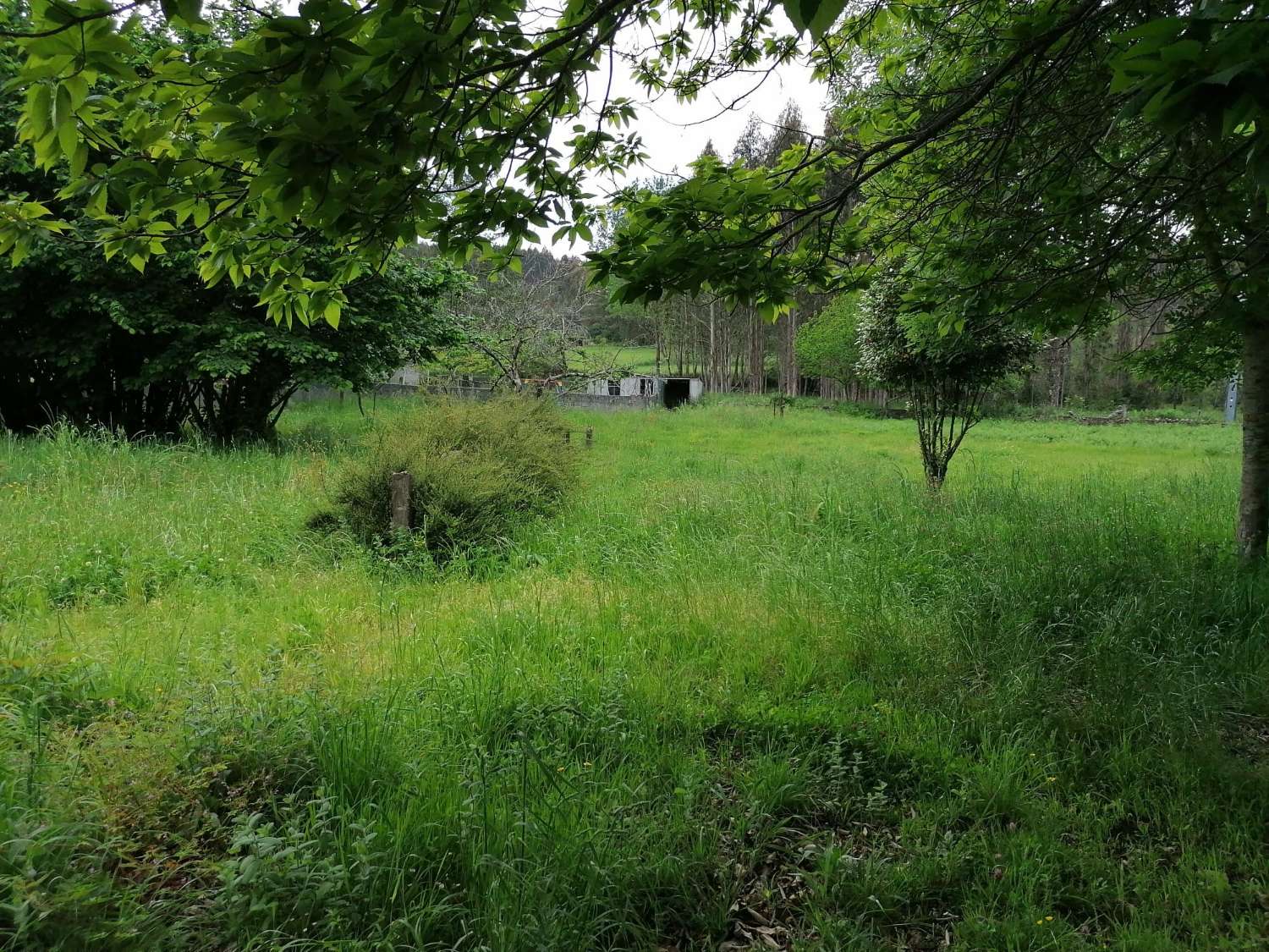 CASA PARA REFORMAR EN UNA ESTUPENDA FINCA LLANA Y CERRADA COMPLETAMENTE