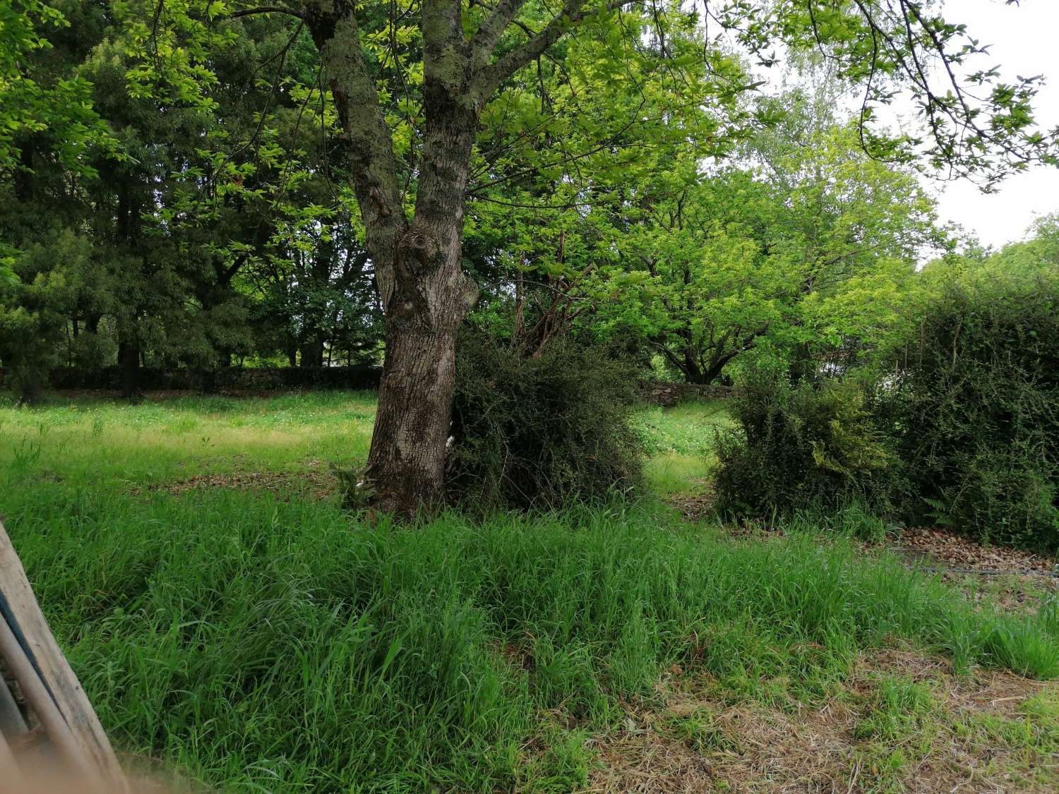 CASA PARA REFORMAR EN UNA ESTUPENDA FINCA LLANA Y CERRADA COMPLETAMENTE